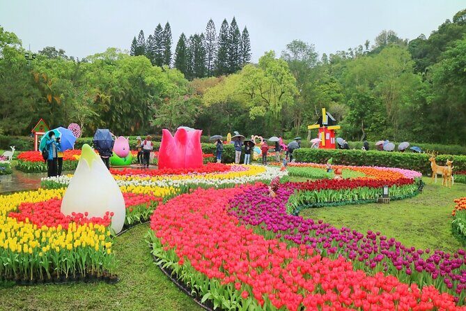 Taipei Cherry Blossom Day Tour to Yangmingshan and Tamsui - The Sum Up