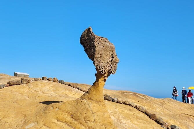 Taipei City to Taoyuan Airport Private Transfer - FAQ