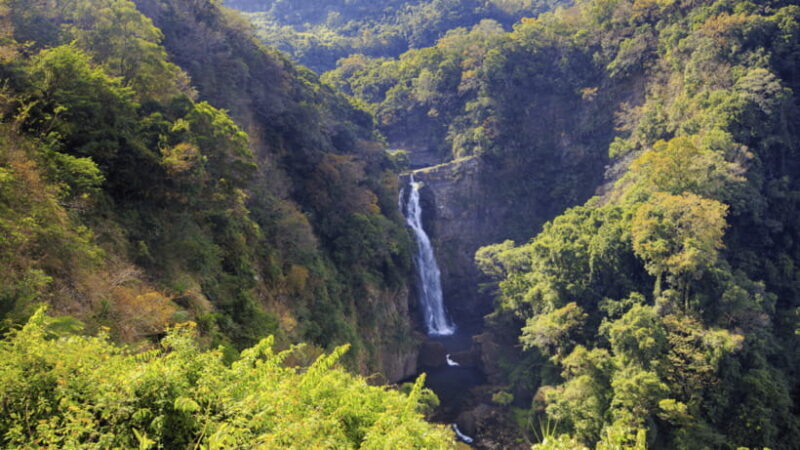 Taipei: Daxi Old Street and Tea Factory, Xiaowulai Day Tour - Exploring the Route and Highlights of the Tour
