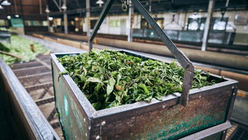 Taipei: Daxi Old Street and Tea Factory, Xiaowulai Day Tour - Detailed Breakdown of What You Can Expect