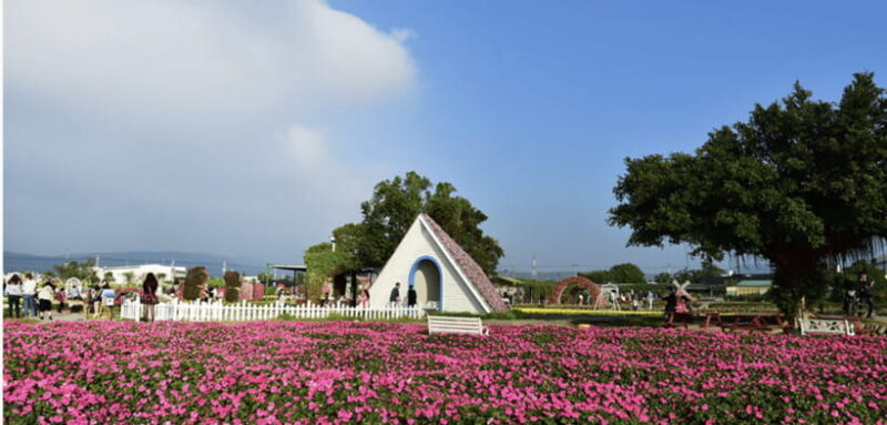 Taipei-Taichung-Taipei Private day trip - Key Points