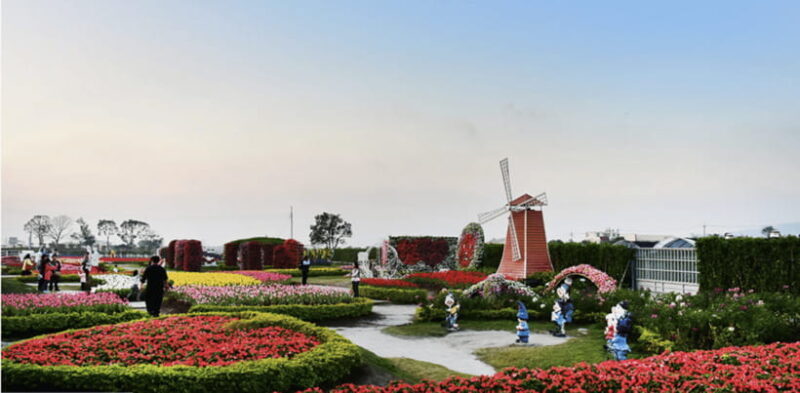 Taipei-Taichung-Taipei Private day trip - Authenticity and Traveler Insights