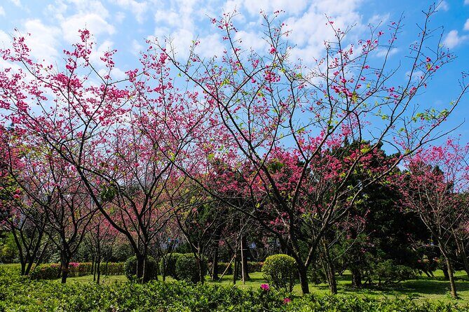 Taipei Timeout: Private 8-Hour Layover Adventures - In-Depth Review of the Taipei Timeout Private Layover Tour