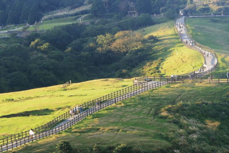Taipei: Yangmingshan & Beitou Full-Day Tour - Delicious Lunch and Local Flavors at Zhuzihu