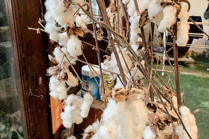 Taisho Era Folk House Unique Indigo Dyeing for All Ages - Key Points