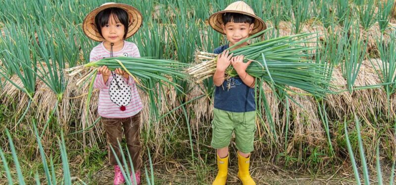 Taiwan: 10-Day Private Island Tour with 4-Star Hotels - Who Should Consider This Tour?