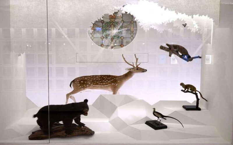 Taiwan Museum, MOCA Taipei & Miniatures Museum Entry Tickets - Experience Taiwan’s Culture and Art with a Single Ticket