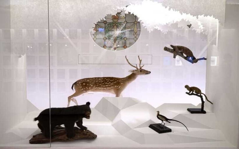 Taiwan Museum, MOCA Taipei & Miniatures Museum Entry Tickets - FAQ