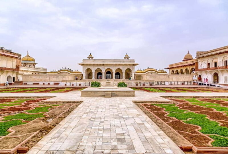 Taj Mahal, Agra Fort & Elephant Conservation Tour from Delhi - Analyzing the Experience: Is it Worth the Price?