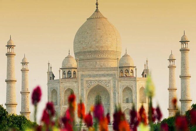 Taj Mahal & Agra Private Day Tour from Delhi - Why We Think This Tour Offers Great Value