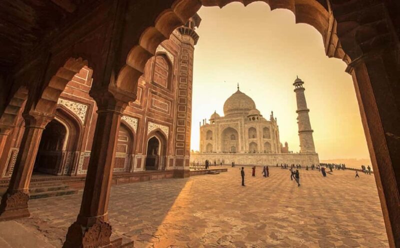 Taj Mahal and SOS Sanctuary: A Memorable Day from Delhi - Who Will Love This Tour?