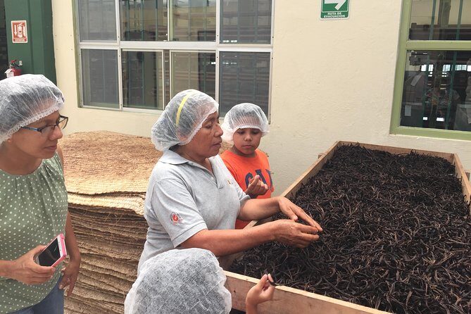 Tajin Ruins Day Trip and Vanilla Factory Experience - Exploring Veracruz: Tajín Ruins and Vanilla Factory Experience