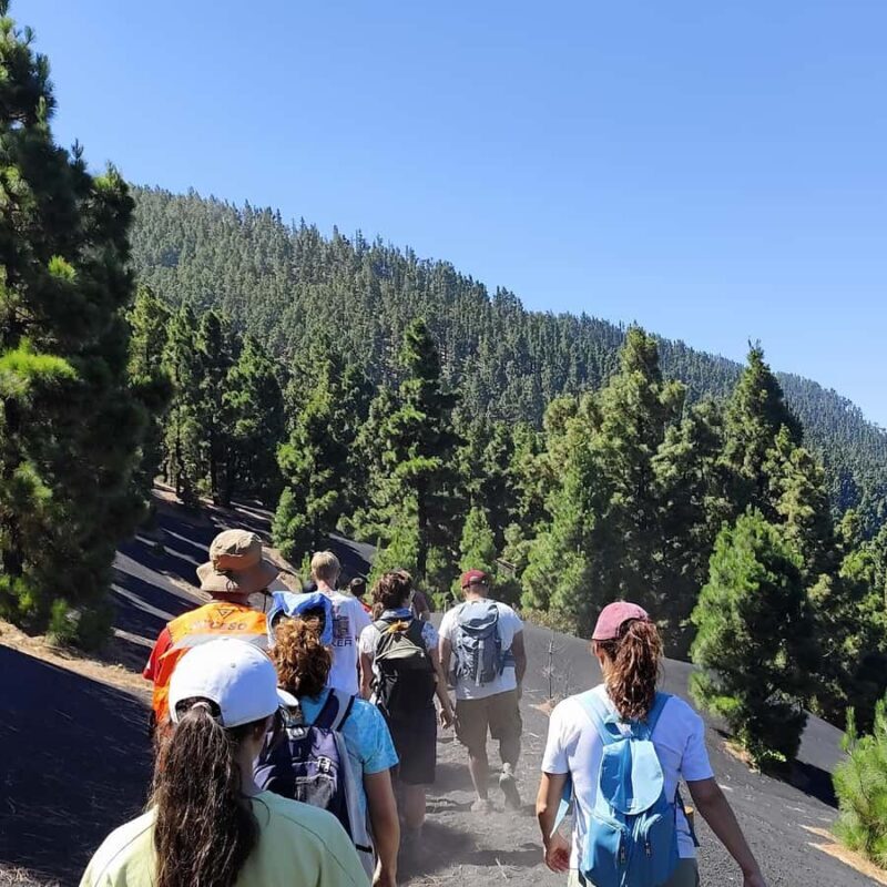 Tajogaite Volcano VIP Experience: Private Tour with Certified Tour Guide - FAQ: Your Questions About the Tajogaite Volcano VIP Experience