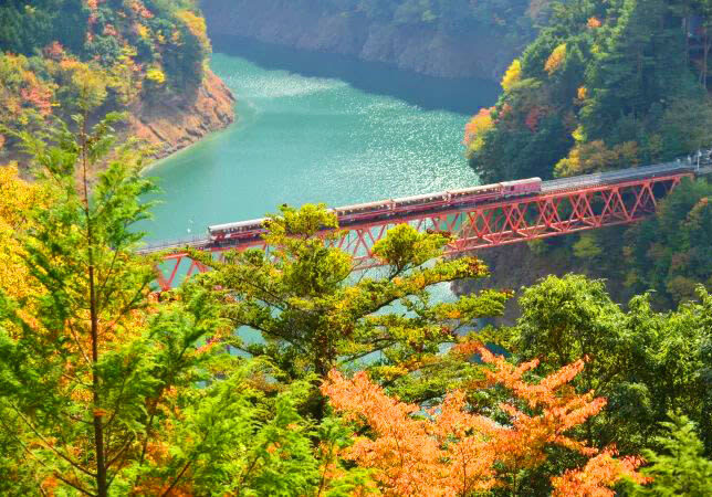 Takachiho Gorge and Scenic Train Day Trip (including boat ride experience) - A long coach day, with real value in the logistics