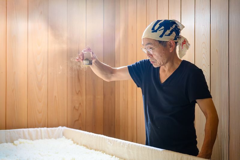 Takayama: Authentic Sake Tasting at a Historic Brewery - Who will enjoy this tasting most?