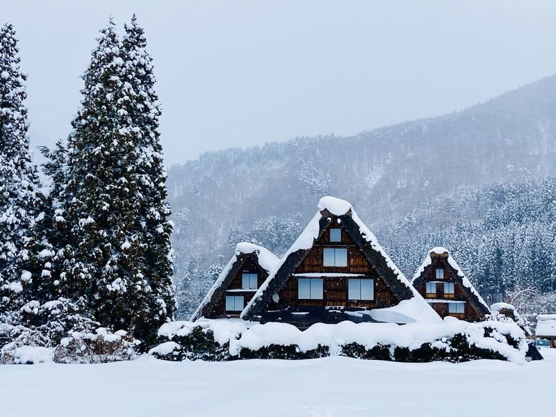 Takayama & Fairytale Shirakawa-go World Heritage DayTour from Nagoya - The useful facts at a glance