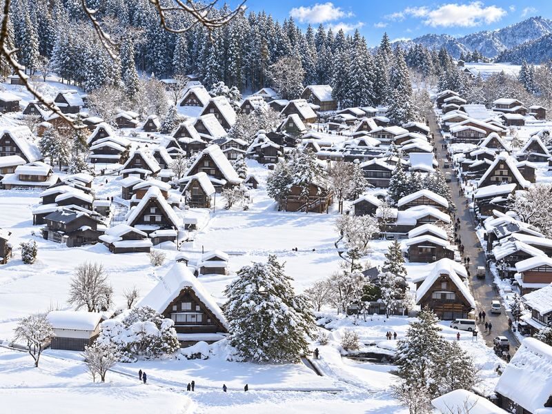 Takayama & Fairytale Shirakawa-go World Heritage DayTour from Nagoya - Two very different stops in one day