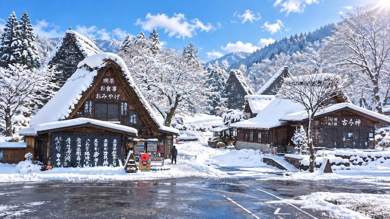 Takayama & Fairytale Shirakawa-go World Heritage DayTour from Nagoya - Shirakawa-go: the village and its farmhouses
