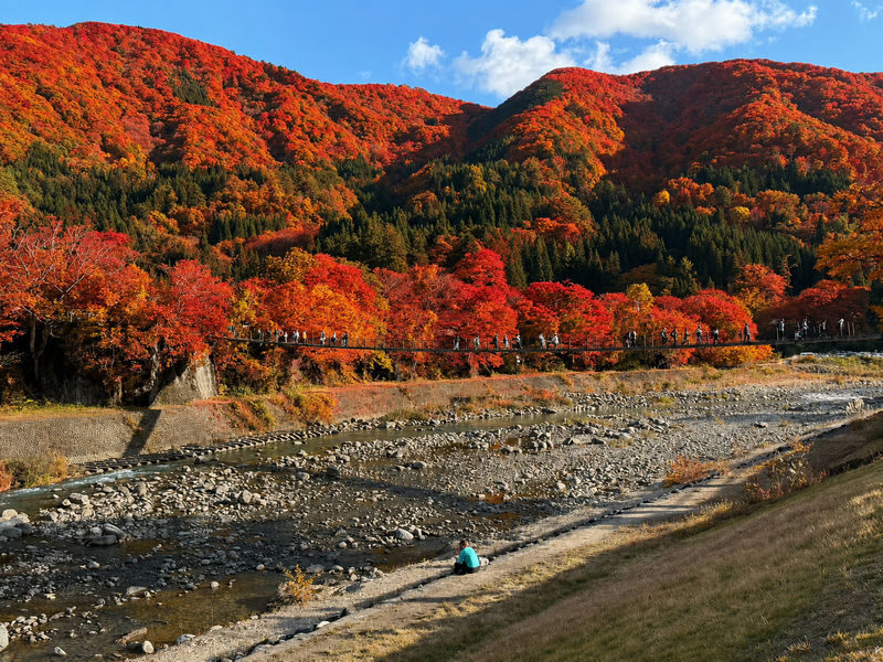 Takayama & Fairytale Shirakawa-go World Heritage DayTour from Nagoya - The coach ride and the long day
