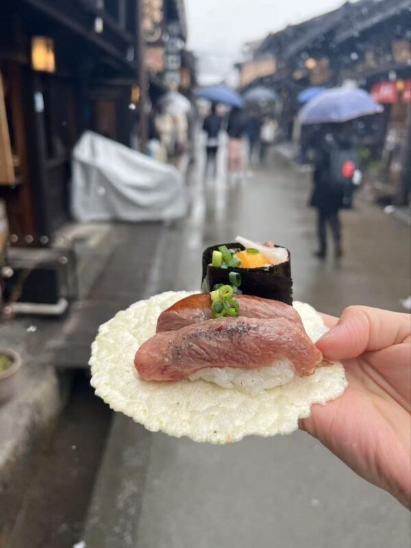 Takayama & Fairytale Shirakawa-go World Heritage DayTour from Nagoya - Is this Nagoya day trip worth booking?