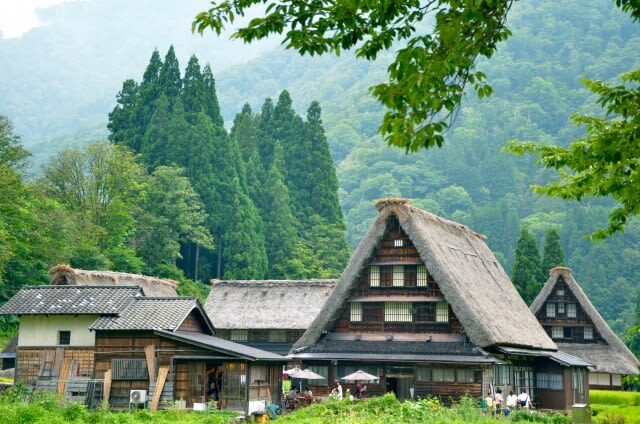 Takayama Shirakawa-go & Gokayama Full-Day UNESCO Tour - Two villages, two different moods
