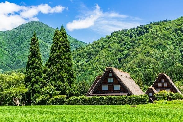 Takayama Shirakawa-go & Gokayama Full-Day UNESCO Tour - How much time do you get?