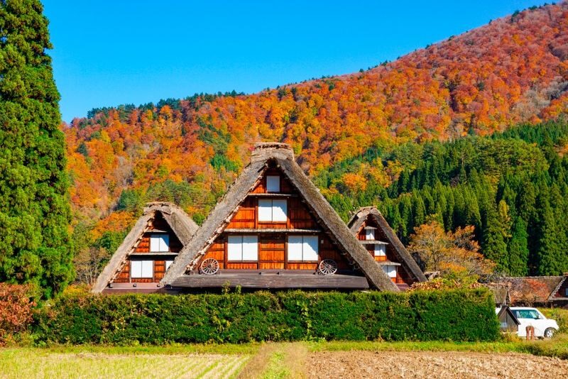 Takayama Shirakawa-go & Gokayama Full-Day UNESCO Tour - What the guide adds