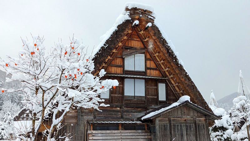 Takayama & Shirakawa-go One Day Tour from Takayama - One day, two sides of Gifu