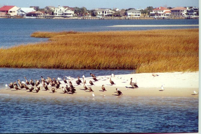 Take a Scenic Boat Ride in St. Augustine - FAQ