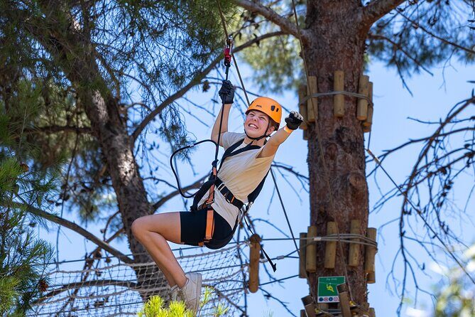 Take the Challenge and Conquer the Salisbury Treetops - Authentic Experiences and Genuine Feedback