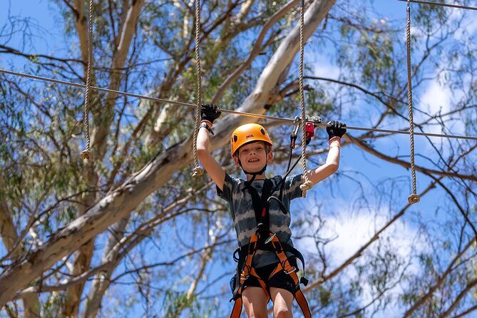 Take the Challenge and Conquer the Salisbury Treetops - Who Will Love Salisbury Treetops?