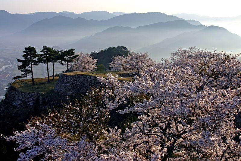 Takeda Castle Ruins Admission Ticket - A hilltop visit with a clear payoff