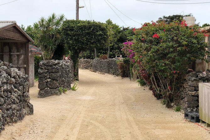 Taketomi Island Walk Tour with an Island Guide - Practical Tips for Your Visit