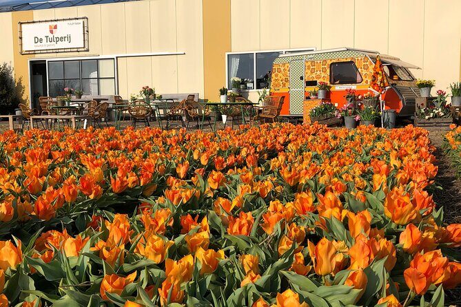Taking Pictures in the Tulip Field at De Tulperij - A Detailed Look at the Experience