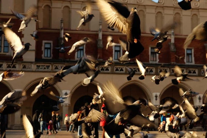 Tales and Legends of Krakow  A Family Guided Tour - A Closer Look at the Tales and Legends of Kraków Tour