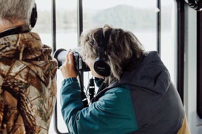 Tales & Tides: Alaskan Lore & Wildlife Cruise - Wildlife Watching: What You Can Expect