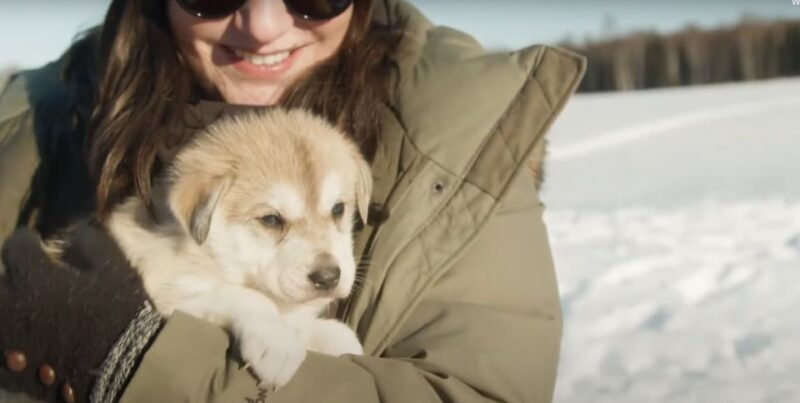 Talkeetna: Alaskan Winter Dog Sledding Experience - In-Depth Review of the Talkeetna Dog Sledding Experience