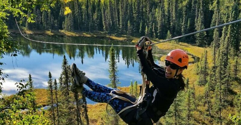 Talkeetna: Denali Zipline Tours - Why Choose This Tour?