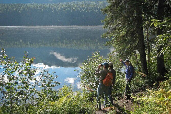 Talkeetna Lakes Hike Guided by a Naturalist - In-Depth Review of the Talkeetna Lakes Hike