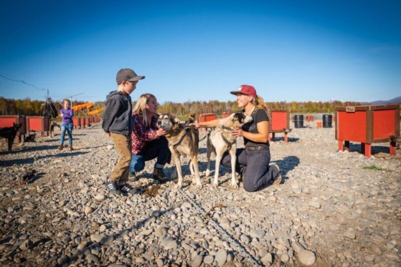 Talkeetna: Mushing Experience with Iditarod Champion Dogs - FAQs
