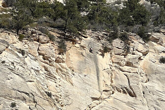 "Tallest in Utah" Via Ferrata & Rappelling (4 hr) - Navigating Zion’s Vertical Heights: A Detailed Look at the Via Ferrata & Rappelling Tour