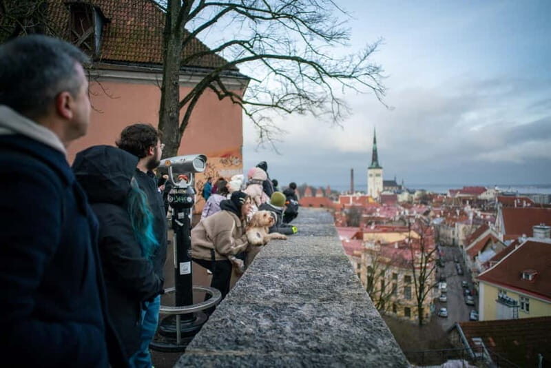 Tallinn: 1.5-Hour Old Town Walking Tour - Exploring Tallinn’s Old Town on Foot: What Makes This Tour Special