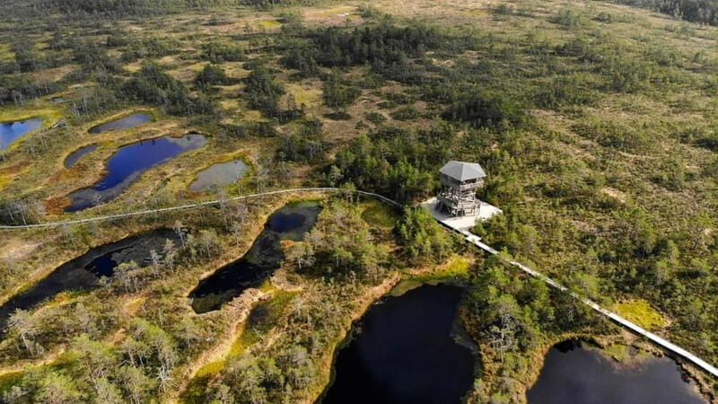 Tallinn: Best Estonian Nature Trails in a Day Guided Tour - Who Would Enjoy This Tour?