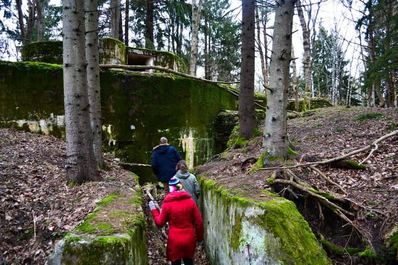 Tallinn: Coastal Cliffs and Rummu Submerged Quarry Day Tour - Final Thoughts