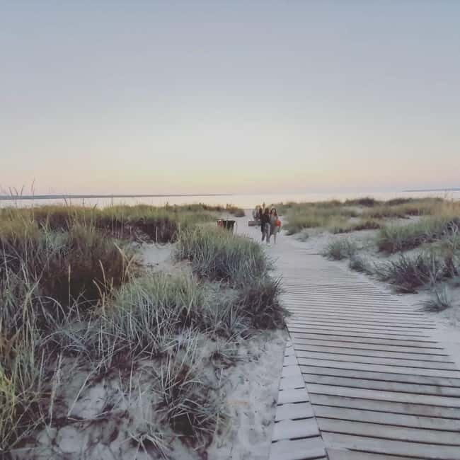 Tallinn: Hidden Gems of Northern Estonia Half Day Trip 5h - Key Points