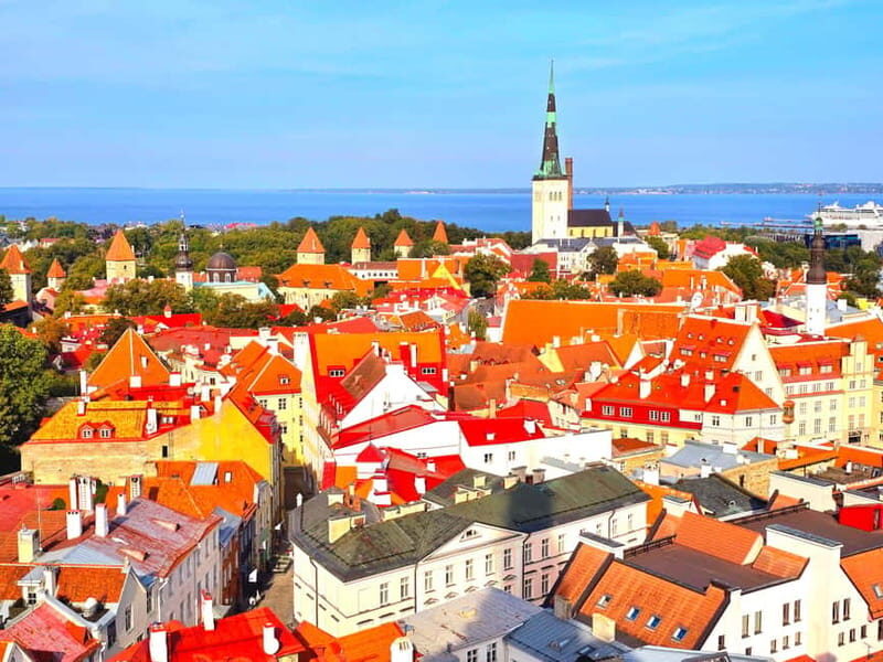 Tallinn: Highlights Shore Excursion with Return Transfer - Who Will Love This Tour?