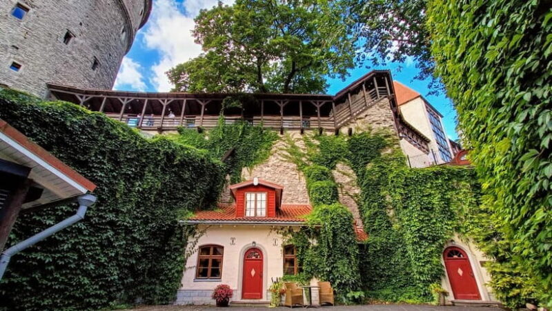 Tallinn: Old Town Private & Personalized Walking Tour - Final Thoughts