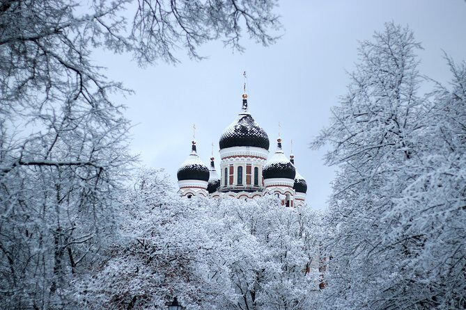 Tallinn Top Attractions and Viimsi Open Air Museum - Who Should Book This Tour?