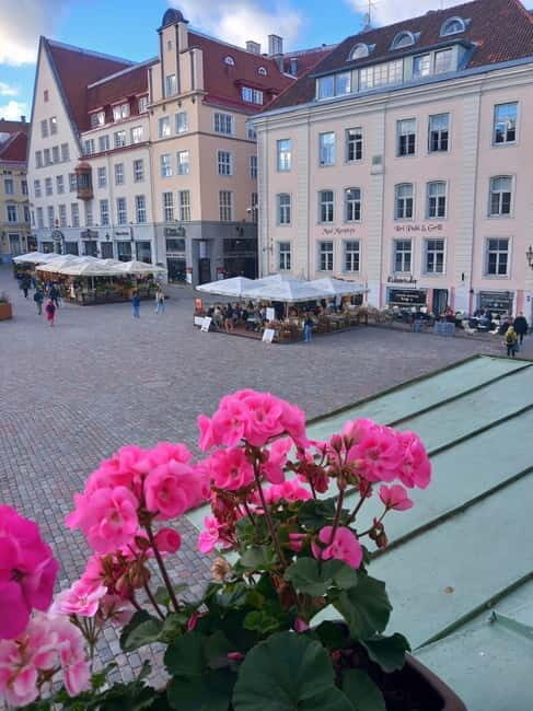 Tallinn Town Hall with a guide - Key Points