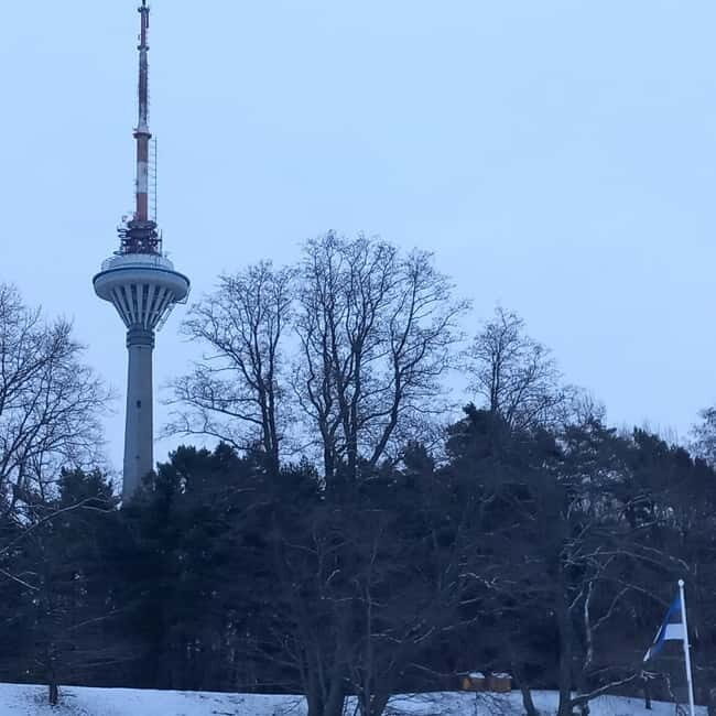 Tallinn TV tower and Botanic garden (a tour with a guide) - Who Will Get the Most From This Tour?